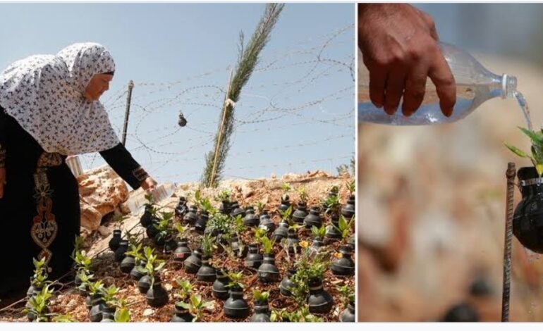 आंसू गैस के ग्रेनेड्स में फूल खिलाती इस फिलस्तीनी माँ की कहानी पढ़िए।